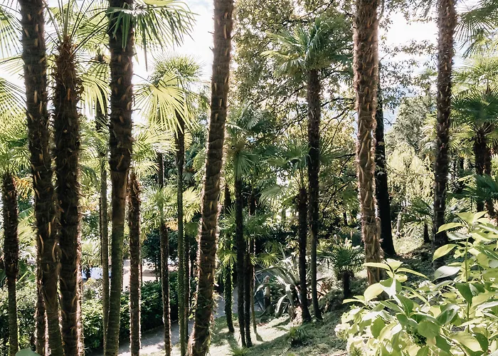 Relais Porta 4* Luino